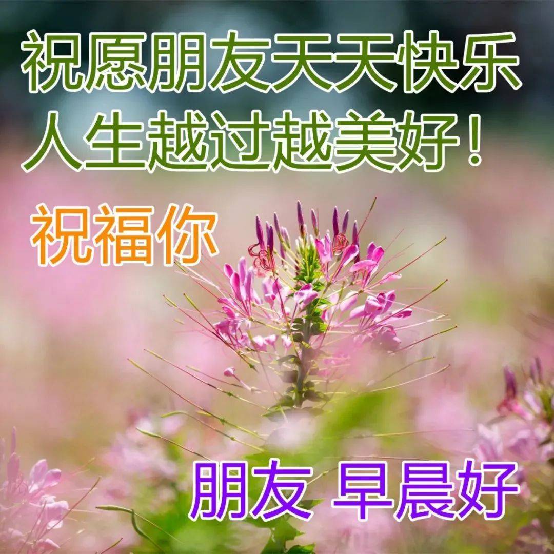 满满干货（给老师的祝福语8个字）给老师的祝福语8个字教师节快乐 第1张