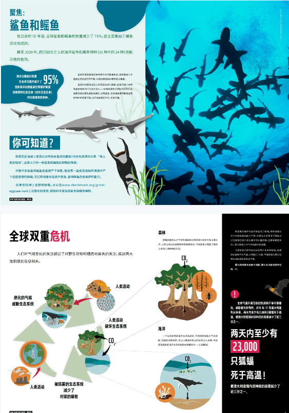 《地球生命力报告2022》青年版摘要(附ppt)_系统_条件_物种