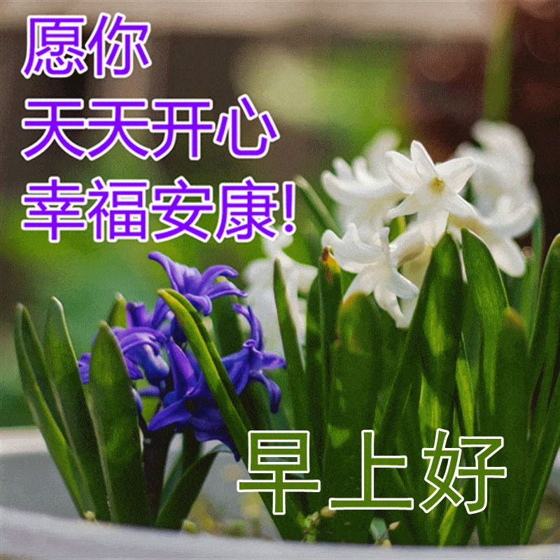 午休短,挺重要,下午困觉不烦扰;短信短,送祝福,愿你神清气爽永幸福