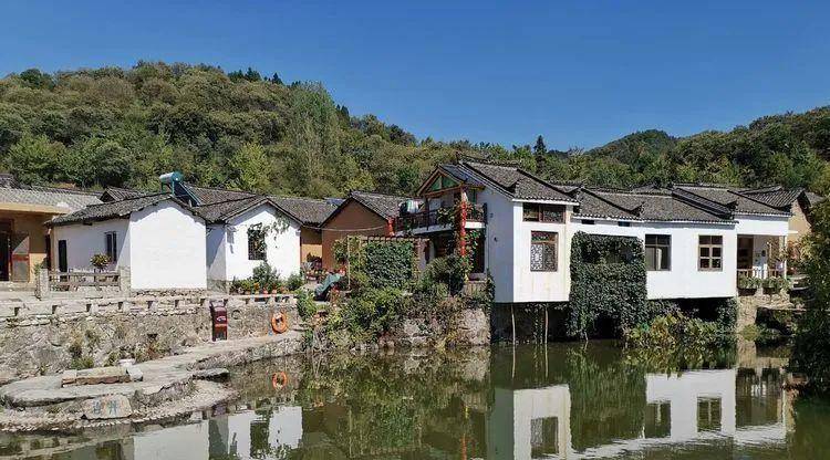 百家民宿⑤_工作_大別山_庭院