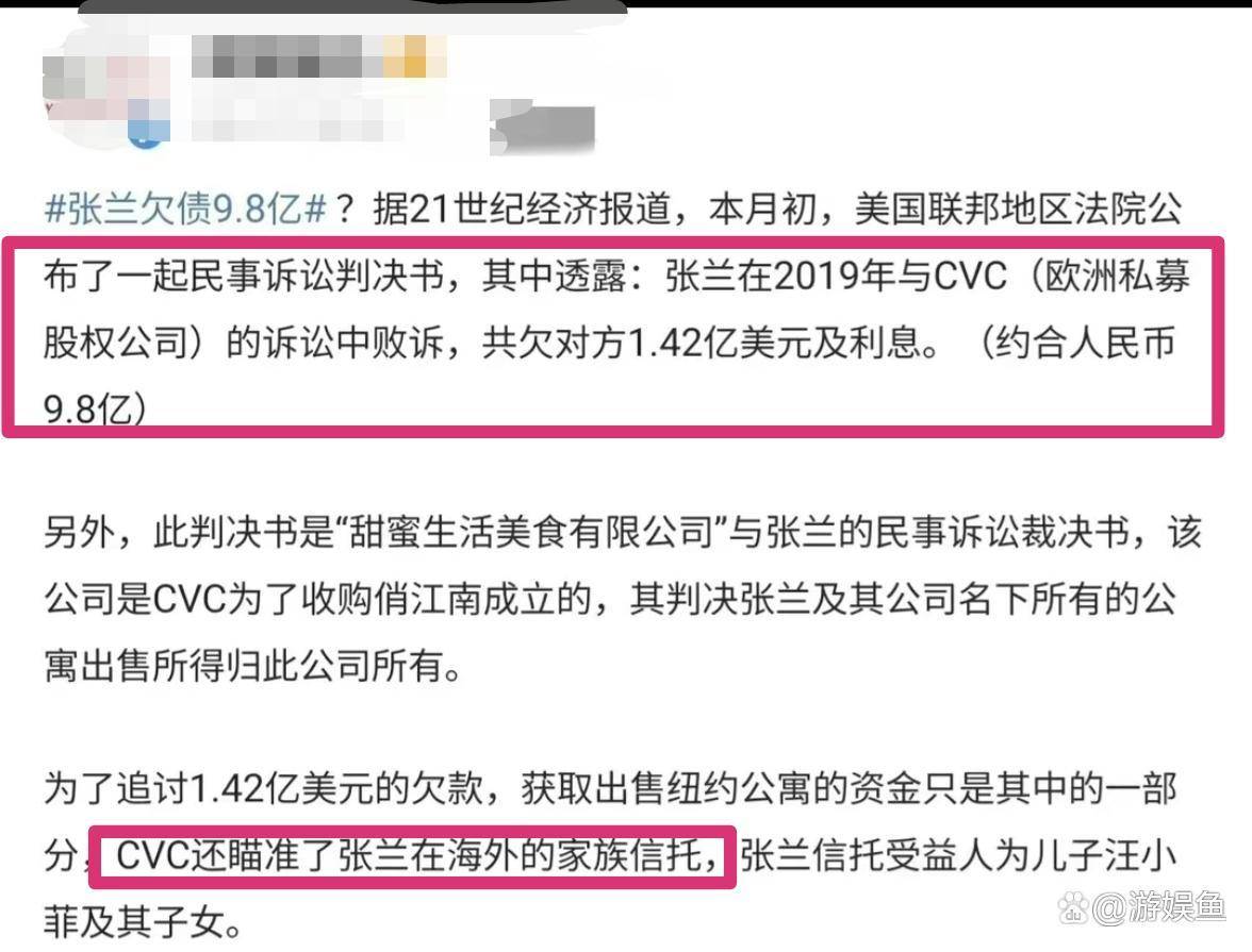 张兰被爆欠款9.8亿，或将影响其海外家族信托，66岁还在拼命赚钱！_搜狐网