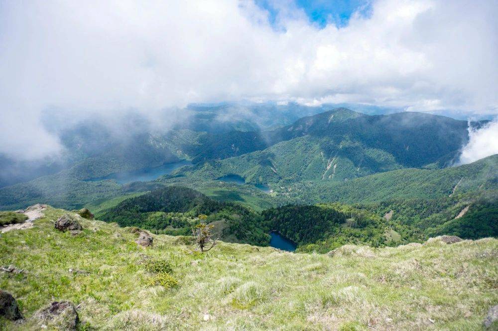领跑厨电产业转型，美的“科技新品与服务”三管齐下-家电圈官网