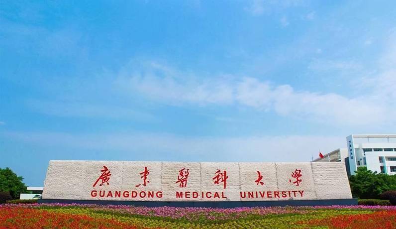 廣東大學排行_廣東大學排名前100_排行廣東大學有哪些