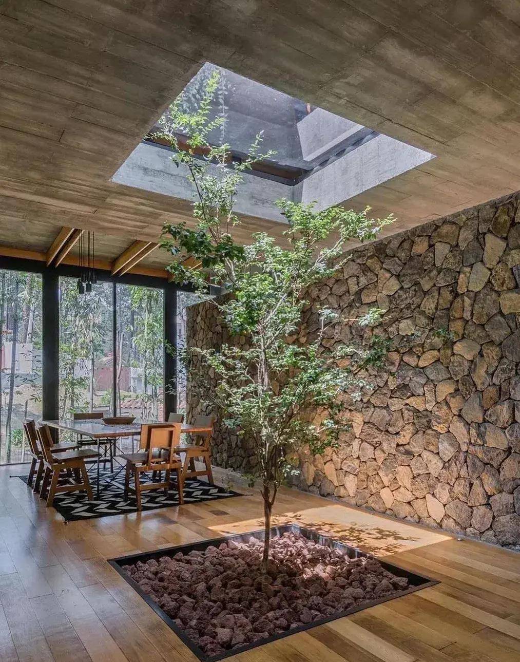 为什么"古今中外"都喜欢用"天井"造景?_庭院_设计_日式