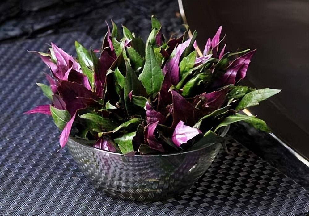 【红凤菜】红凤菜也叫观音菜,紫背菜,由于颜色血红,有人甚至认为能够