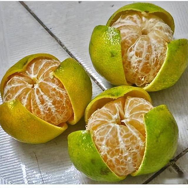 一文教会你识别好陈皮_橘皮_新会_表面