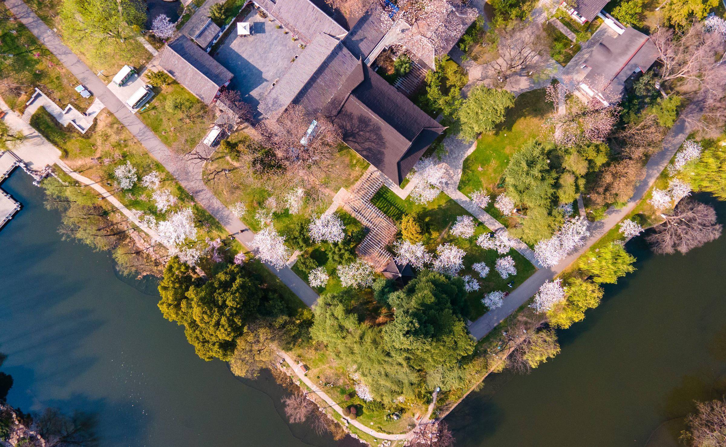 南京花海风景区图片