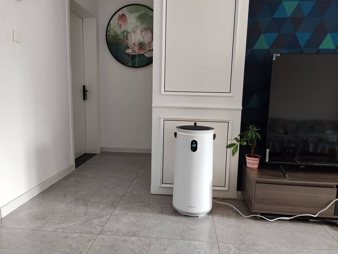 一机多用、给你置身森林的舒适-舒乐氏净化加湿器评测