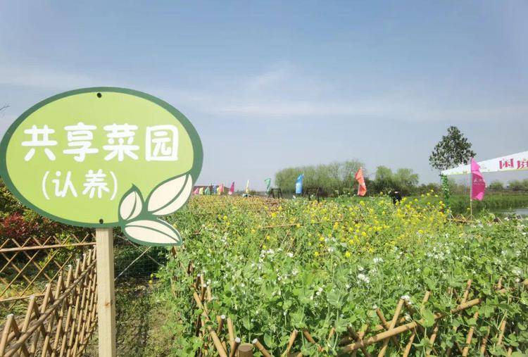 共享农业认养:品尝健康自然,分享农村乐趣_农产品_消费者_平台