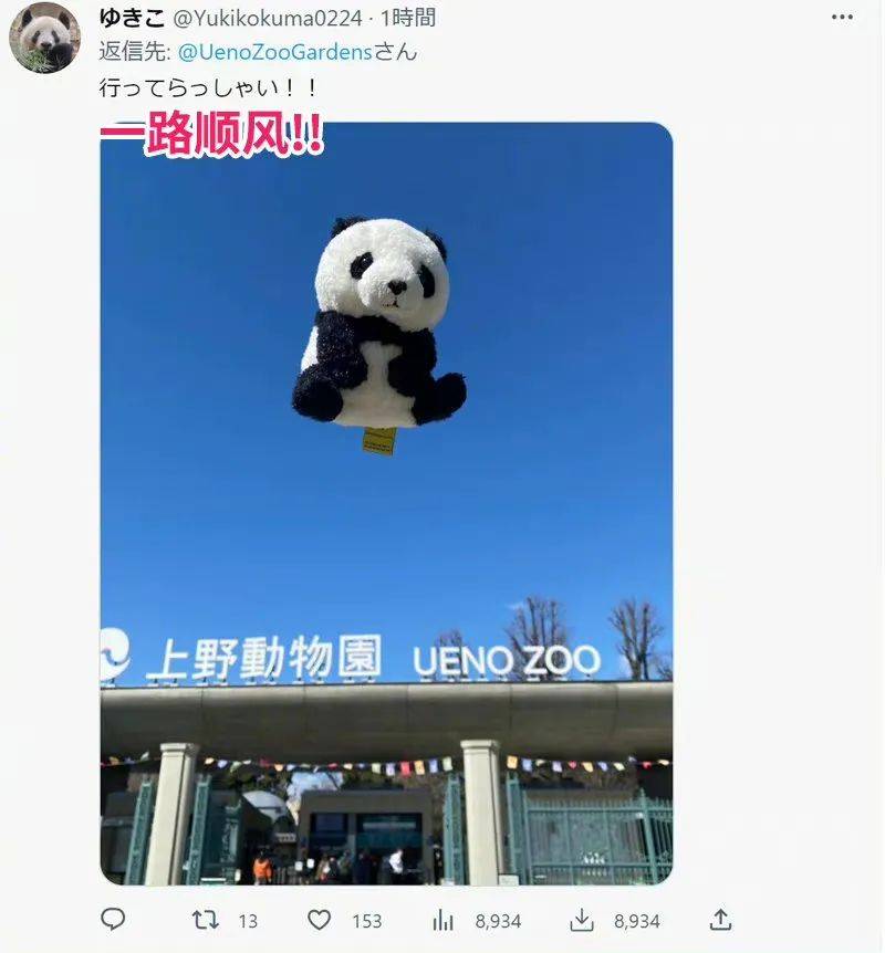 “香香”回国日本人含泪不舍，日本民众究竟有多爱大熊猫？