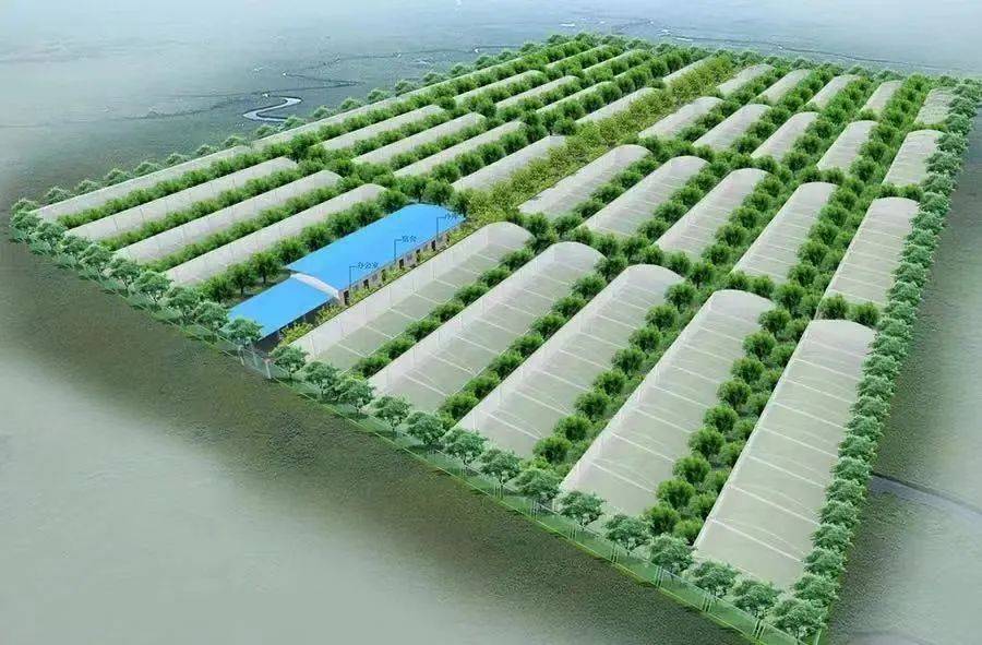 6月底完成墙体等主体建设,到12月底,占地742亩的蔬菜小镇二期将全部