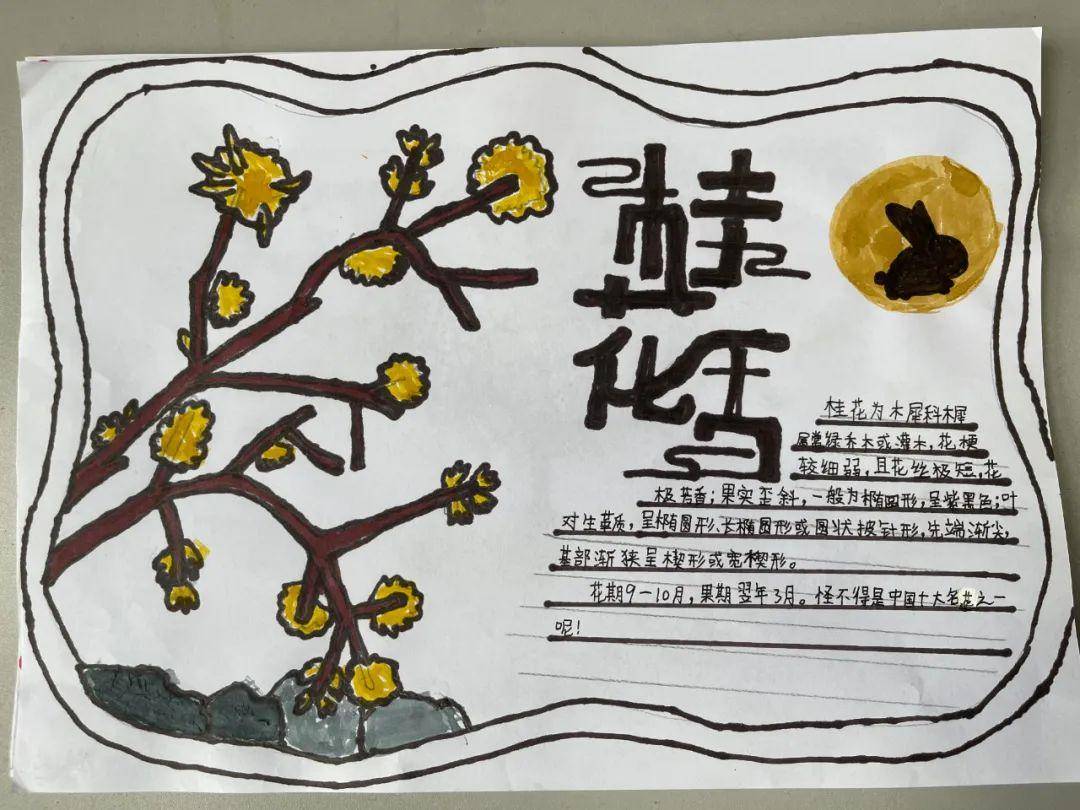 紫叶李的手抄报手画的图片