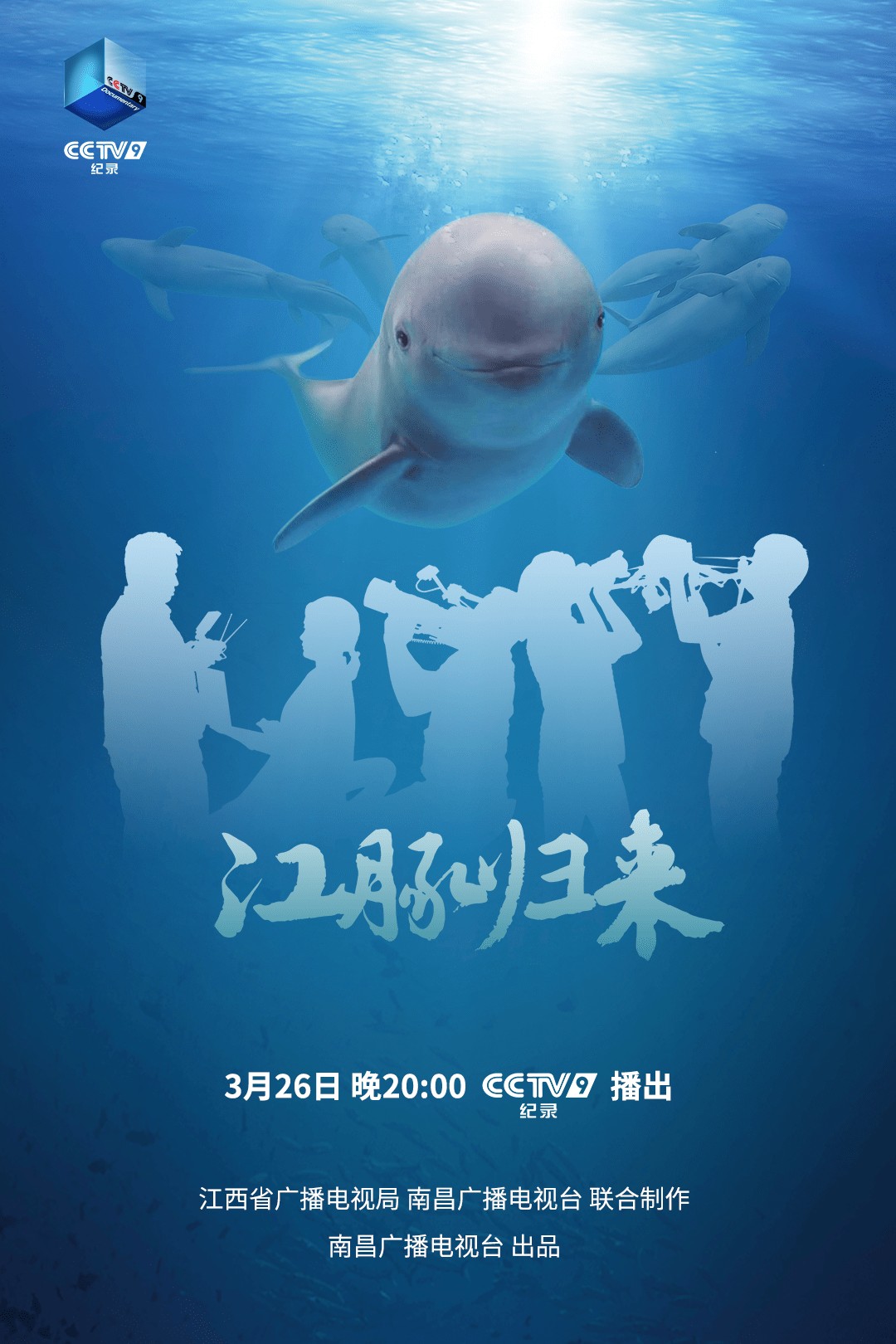 1249头"水中大熊猫"的回归之路——纪录片《江豚归来》即将登陆央视