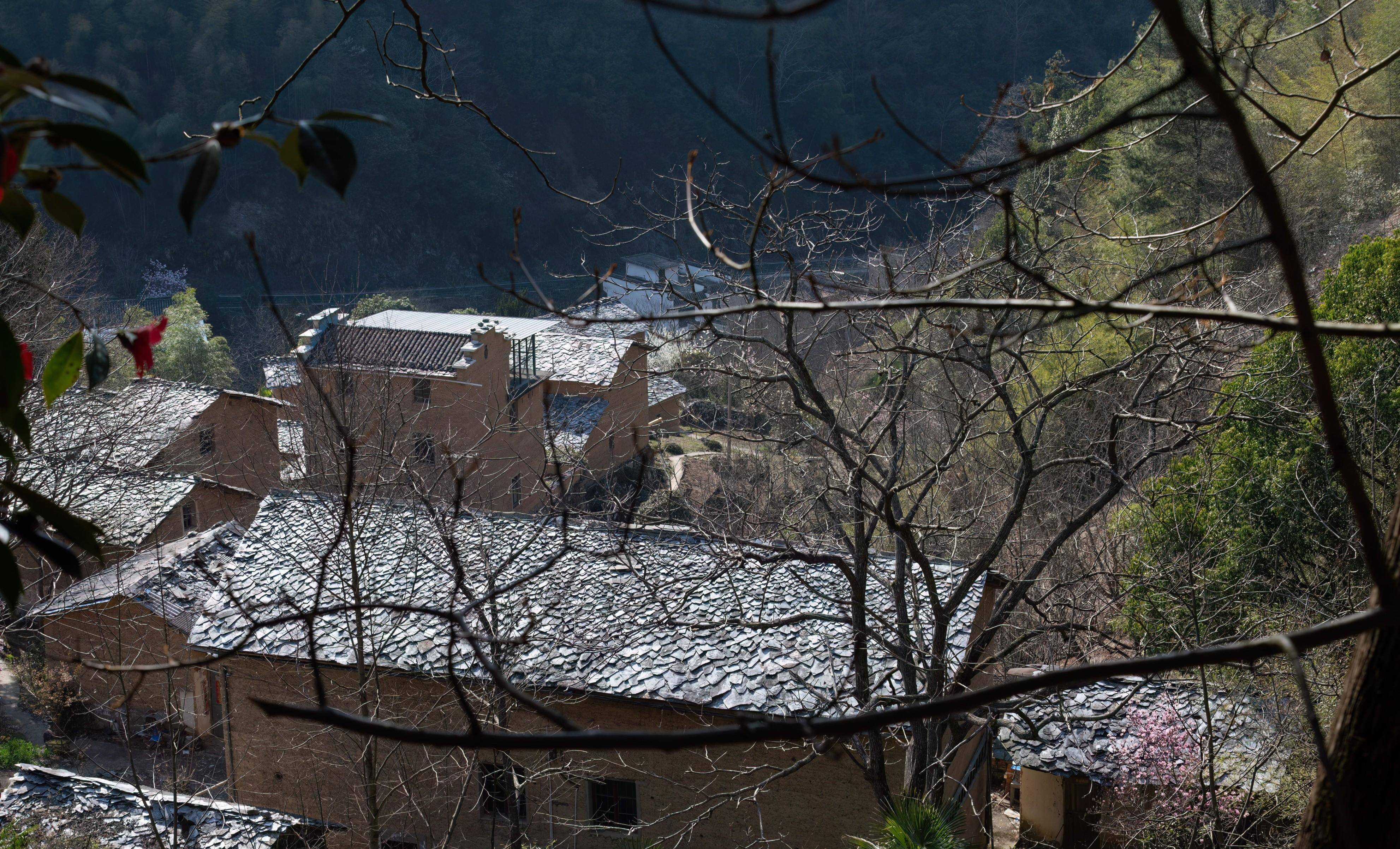 黄山区汤口镇山岔村图片