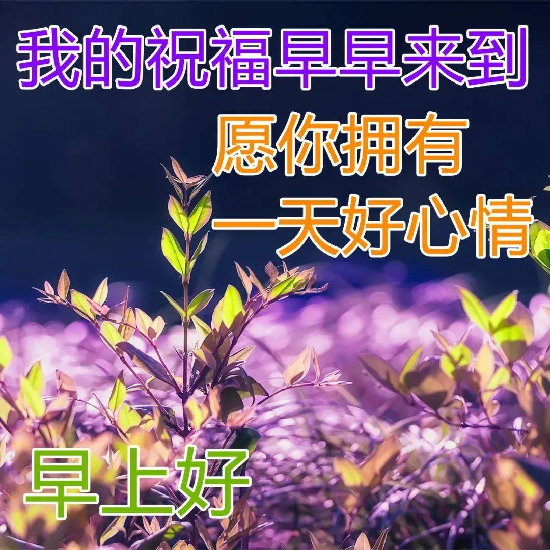 母亲节鲜花图片（母亲节鲜花简笔画画图片） 第1张