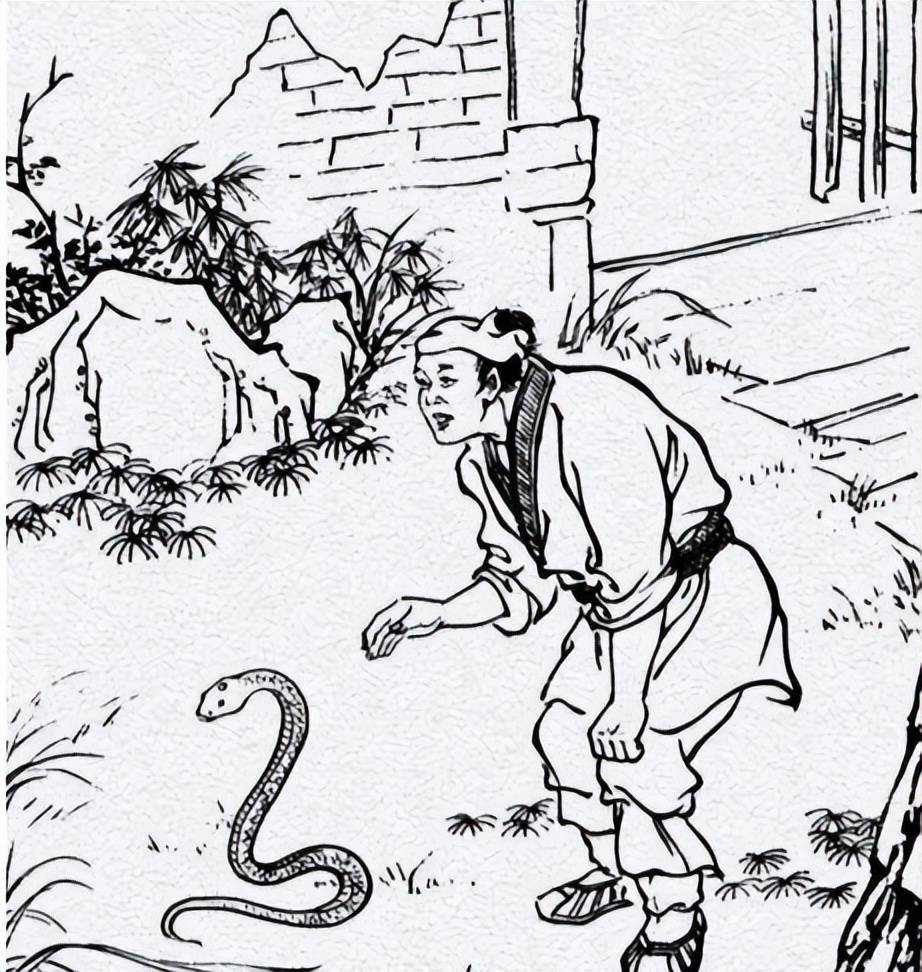 农夫与蛇四格简笔画图片