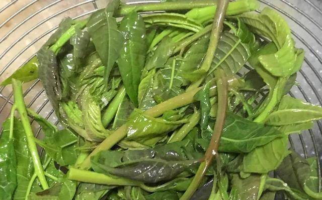 清明前后 这种时令蔬菜记得吃 比韭菜鲜美 价格虽高可别舍不得