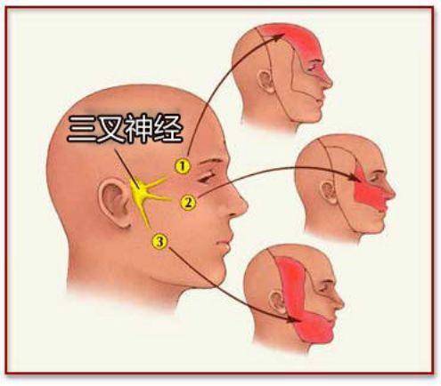 專家提示:三叉神經痛患者,可通過按摩合谷,風池,下關等穴位起到緩解的