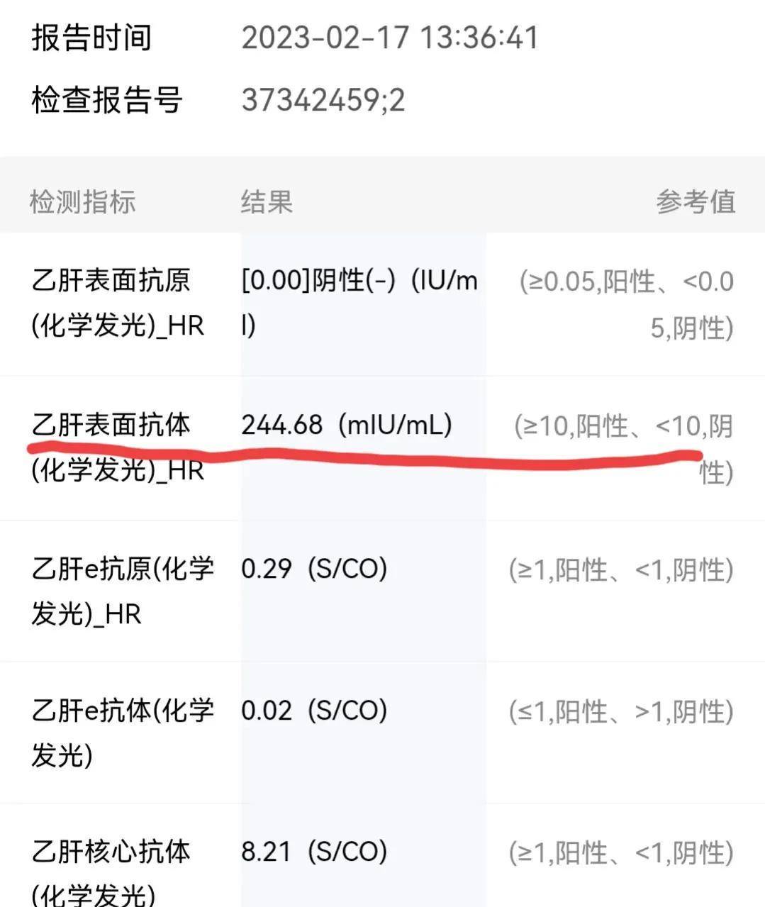 乙肝抗体检查单怎么看图片