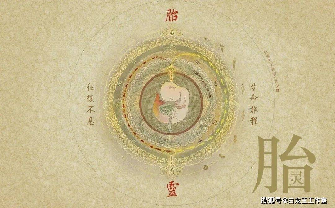 "胎宫":人生的气机轮换与转接!