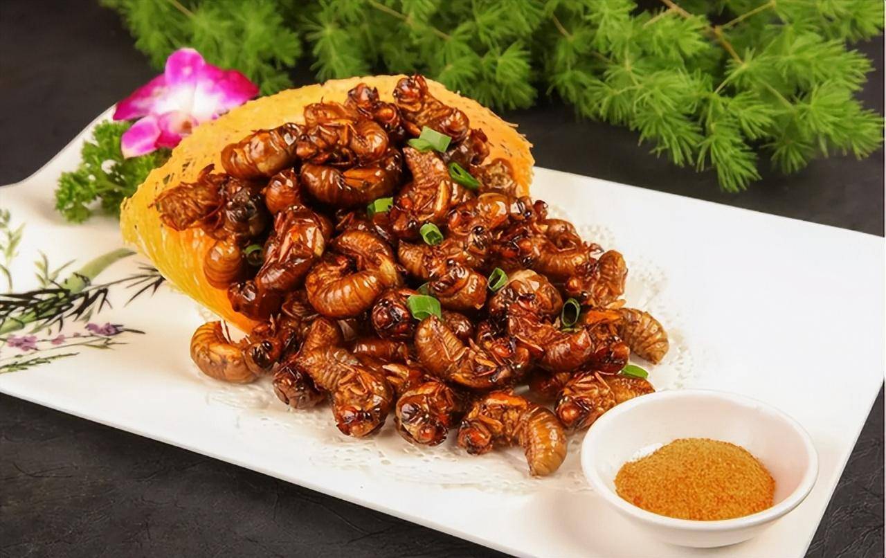 吃"知了猴"有何危害?多数人可能还是不太清楚,吃前请先了解下