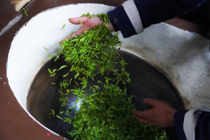 遊杭州徑山,學禪茶文化,品徑山好茶_山茶_餘杭區_山村