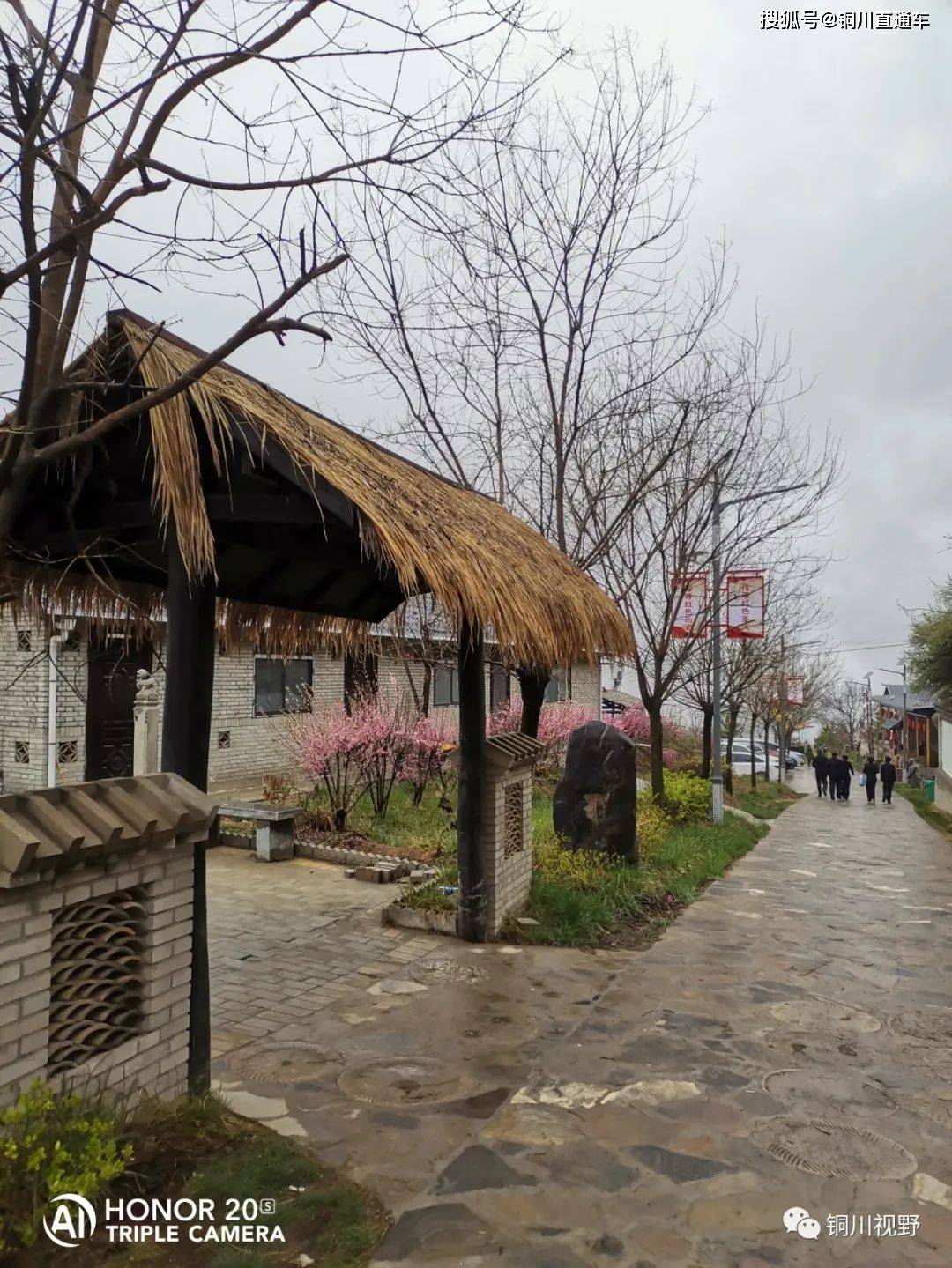 春天里的铜川军台岭