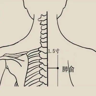 血糖高艾灸部位图片图片