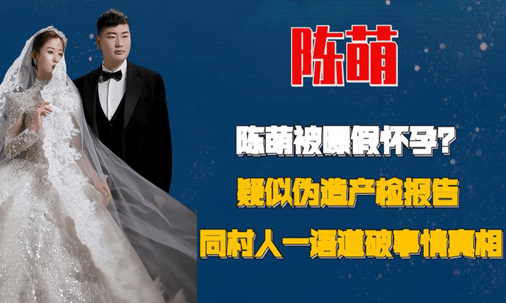 有双胞胎的b超照片,但结婚四个多月,陈萌小腹平坦没有任何怀孕的迹象