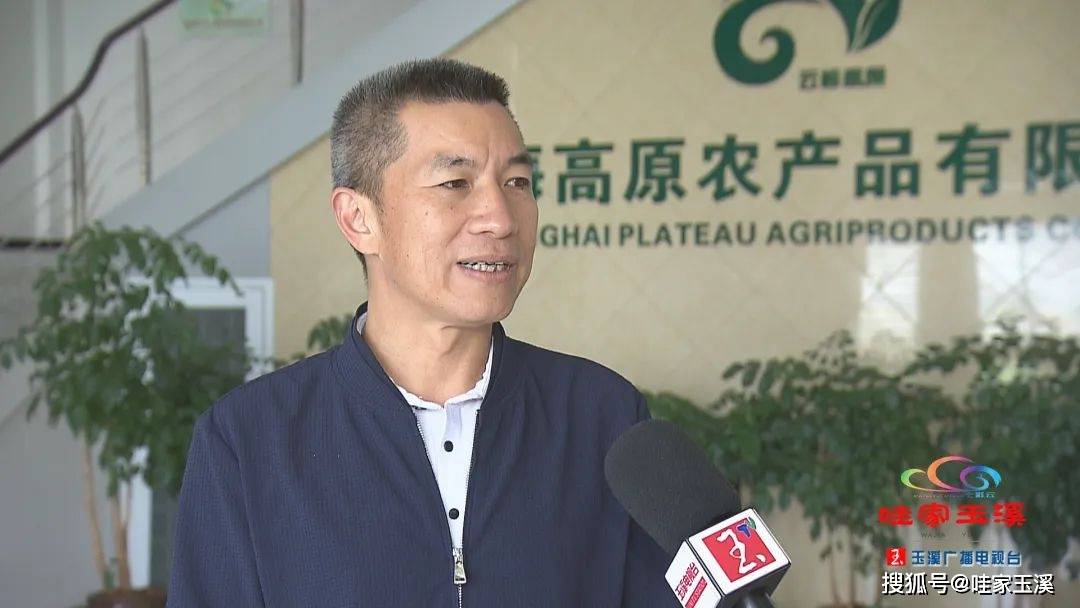 玉溪蔬菜的国际"朋友圈"_通海县_越南_高原