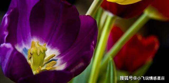 未来10天，3大生肖运势大改变，东山再起（十二生肖排序年龄2023年）