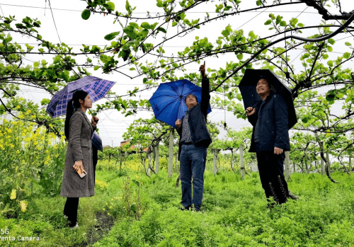 安徽太湖：发挥本土专家特长，助力乡村振兴(图4)