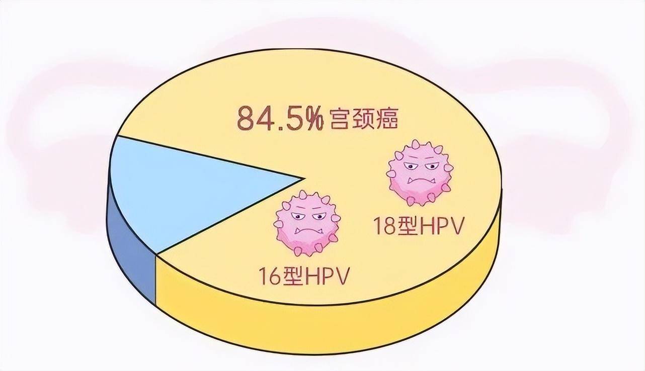 宮頸_我國_經濟