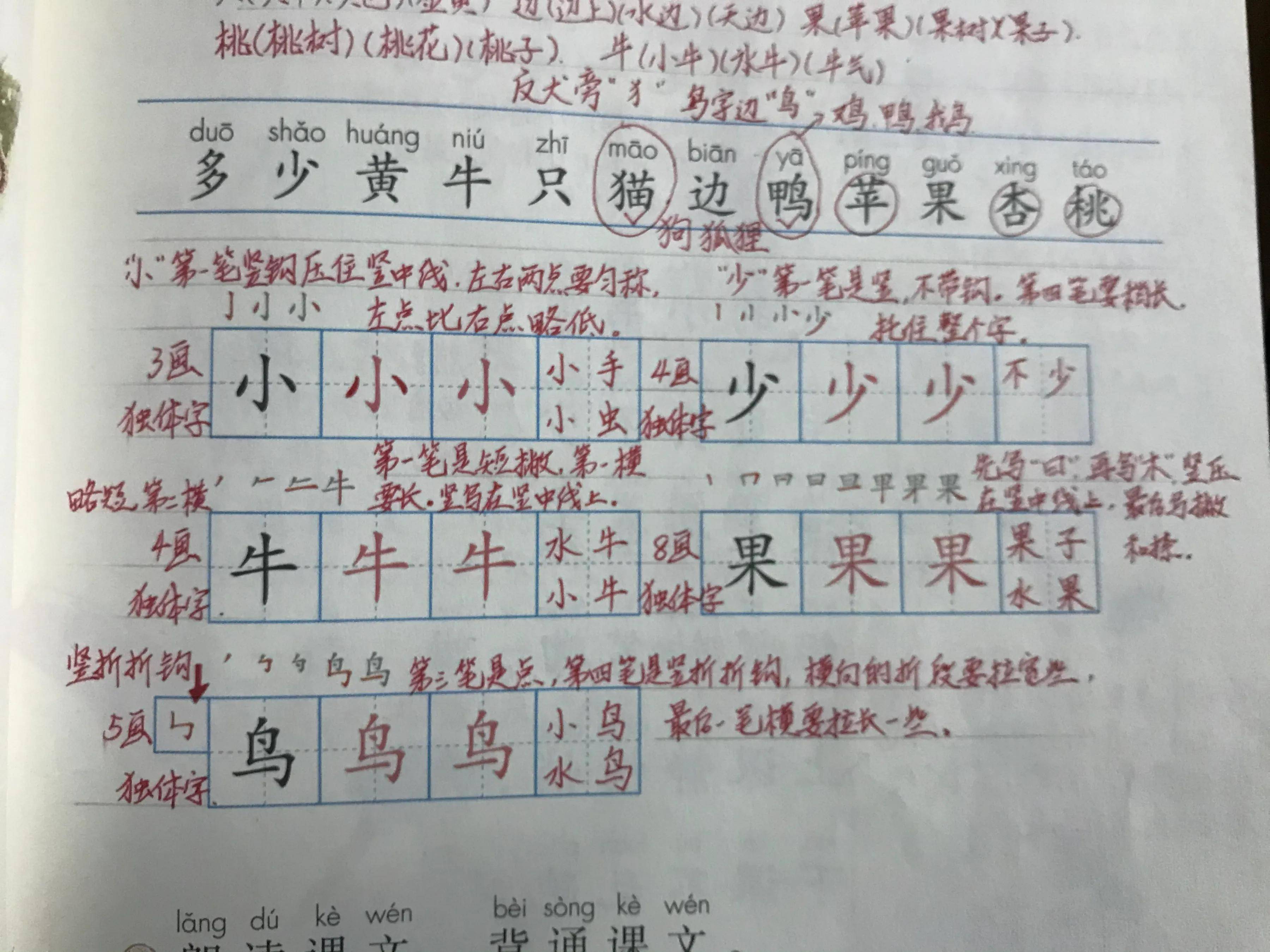 原创
  一年级语文，教师在识字和写字教学中，注意这些很重要 第5张