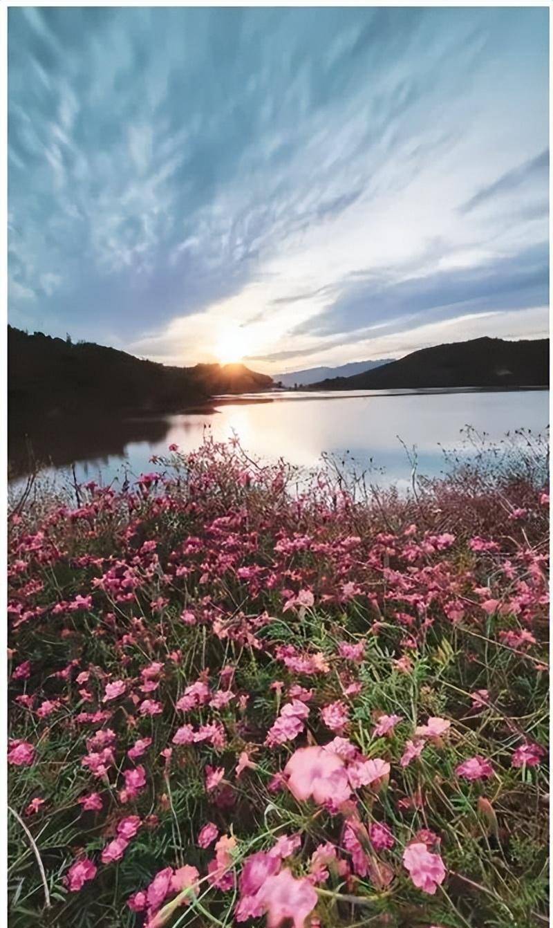 湖畔_会议_阳光