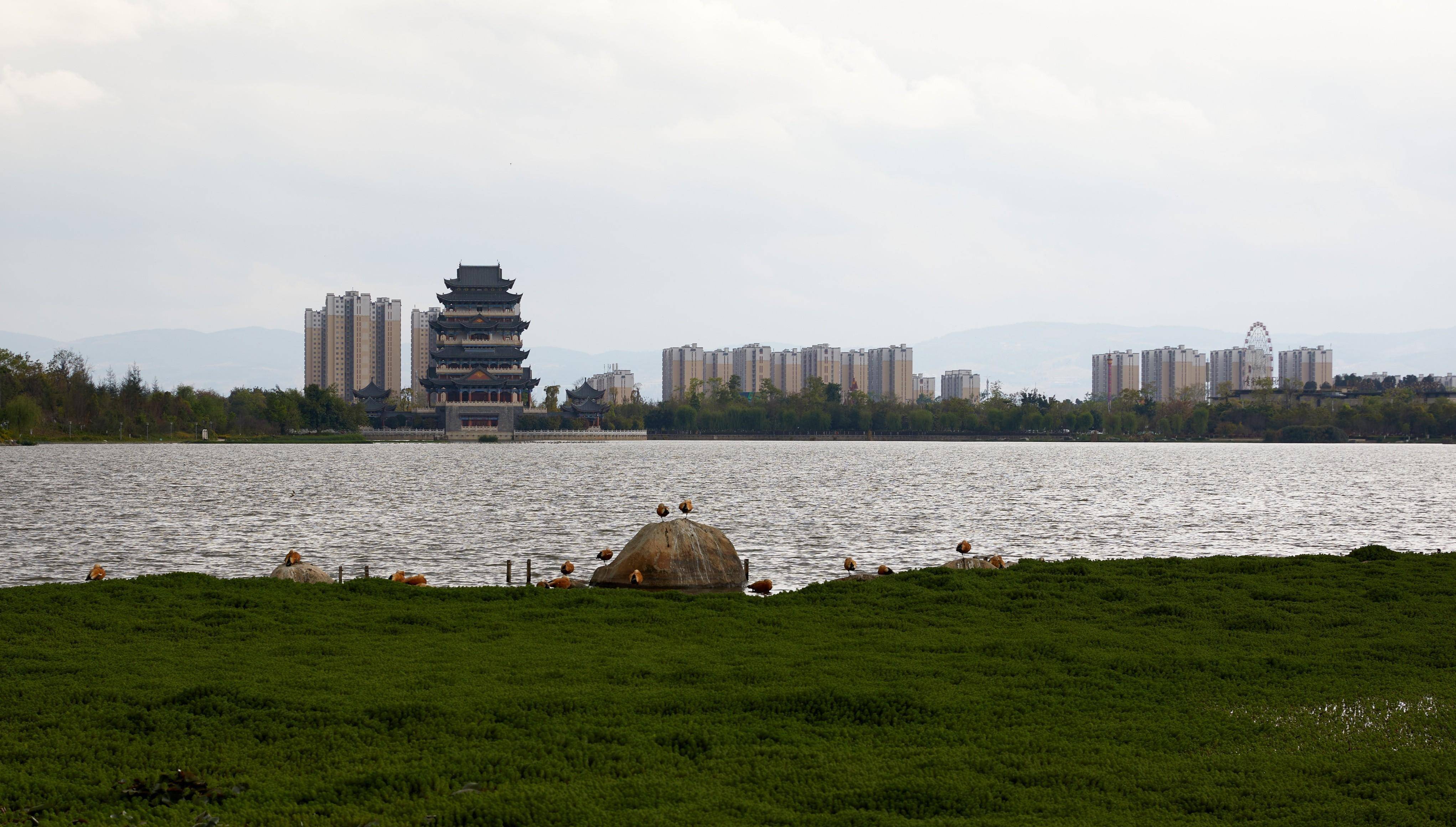 保山青华湖公园 面积图片