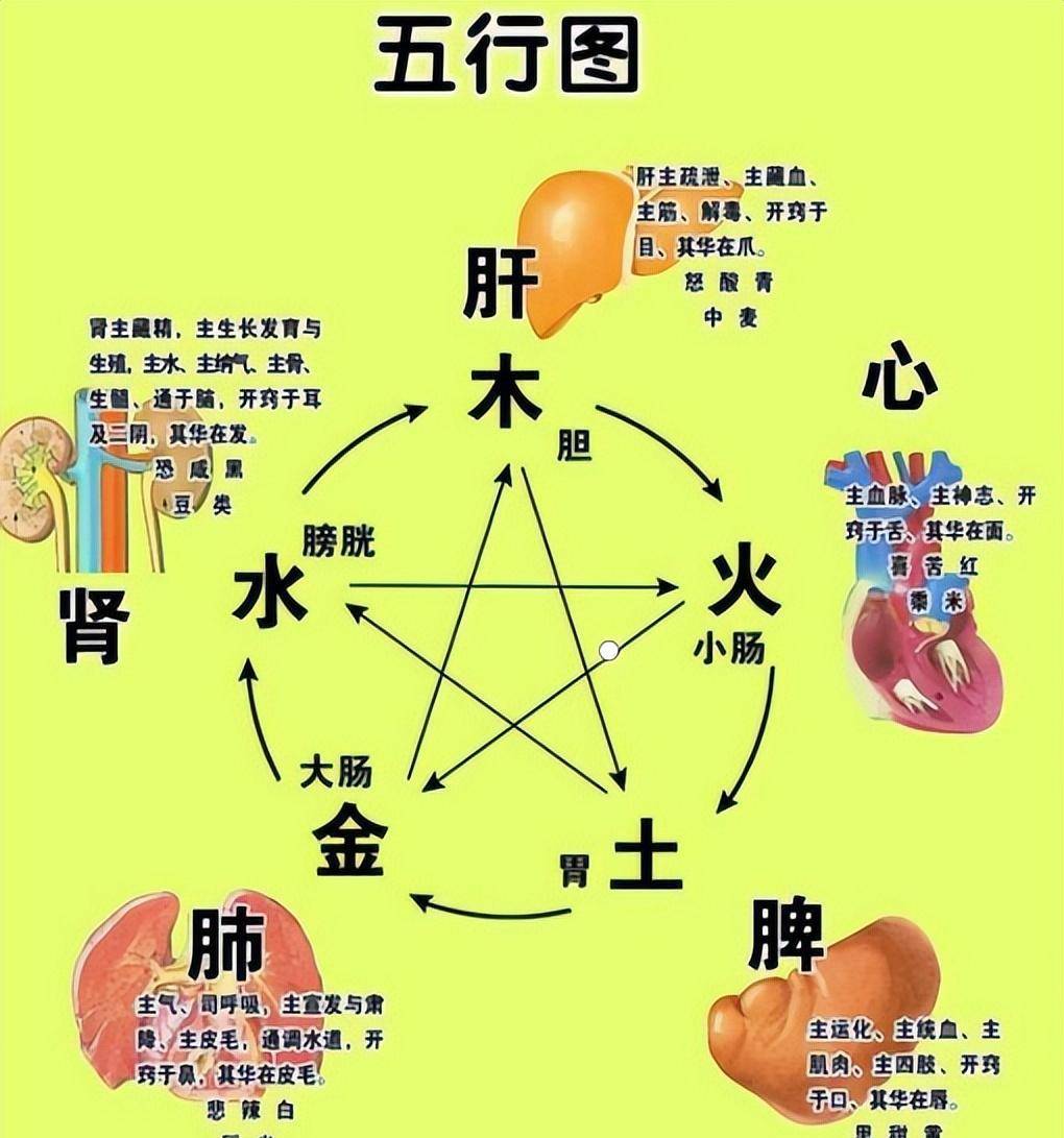 一巴掌蕴含中医大智慧_五行_恐惧_村里