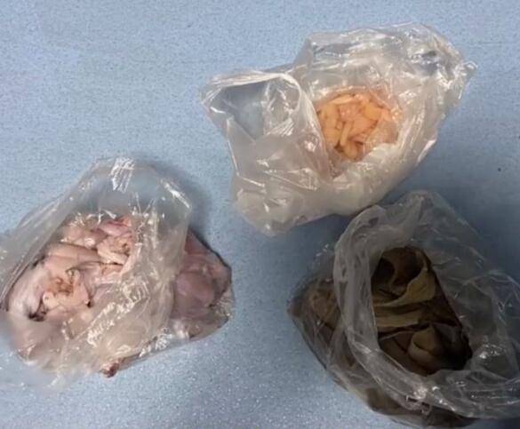 原创            两女子吃自助餐为吃回本被行拘，偷偷将食材带回家（女孩吃自助餐撑死视频大全）