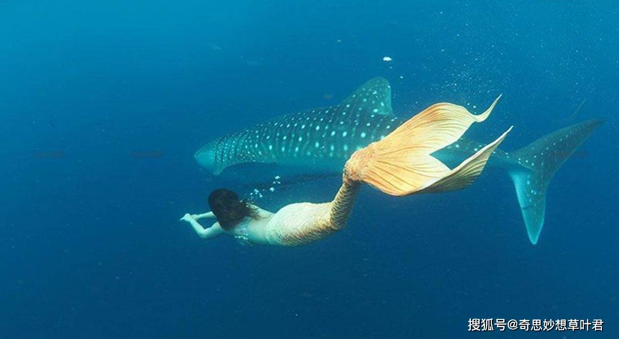 深海探測到詭異聲波,美人魚真實存在並非傳說?_諾莫_人類_天狼星