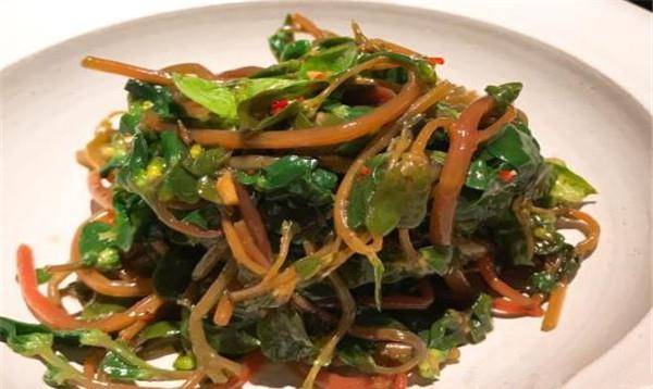 原来这种野菜可盆栽,老人叫长寿菜,观赏食用均可,医生要求常吃_马齿苋
