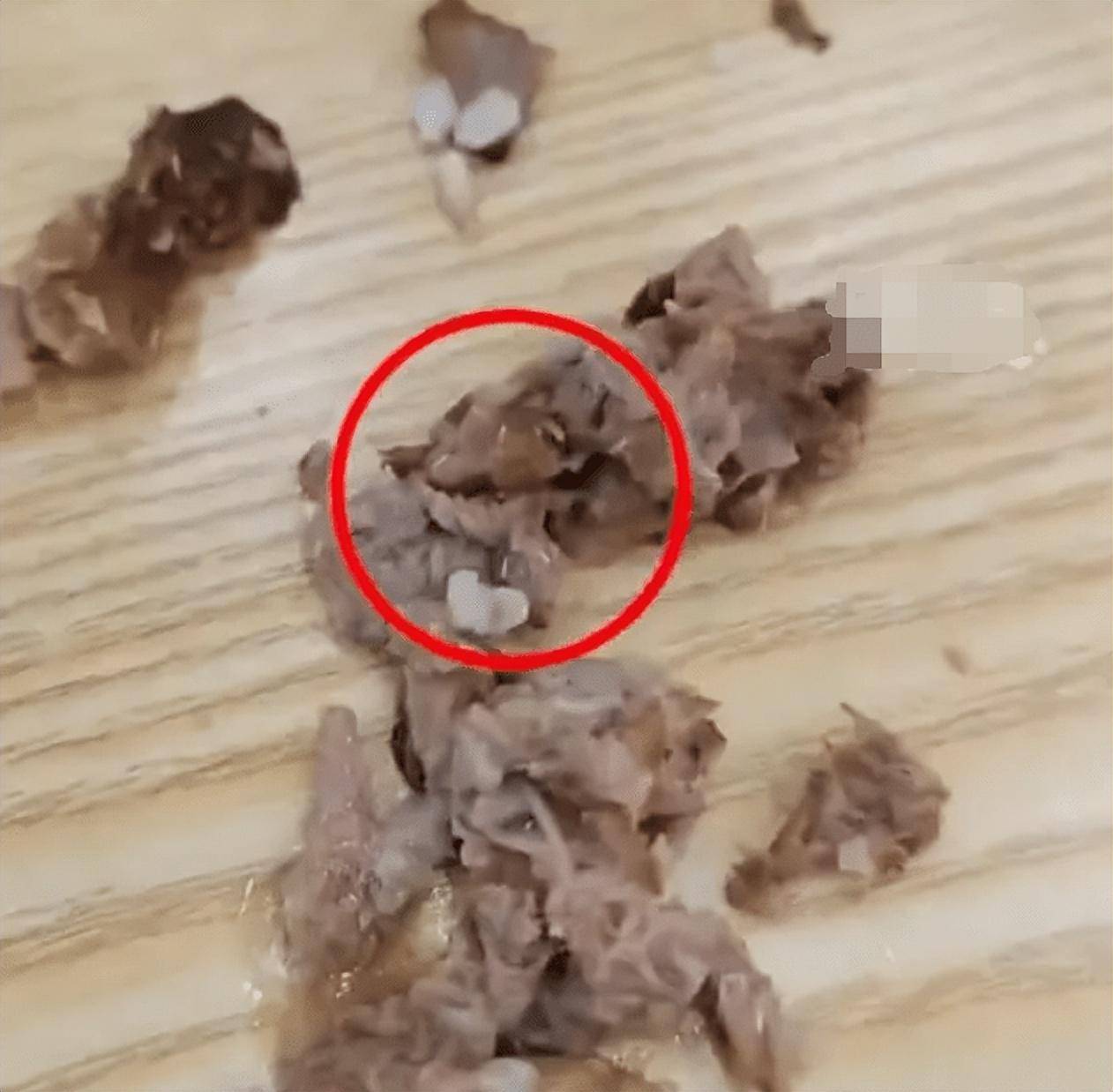 女子称吃黄蜀郎鸡公煲满嘴蛆 赔偿4888元怀疑是“死爸爸”(图3)