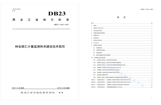 国际碳汇林标准图片