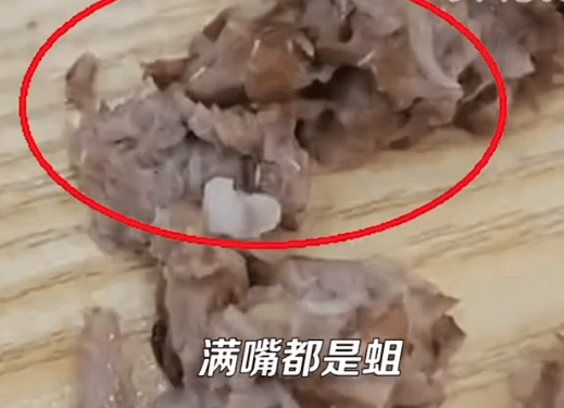 女子称吃黄焖排骨发现满嘴是蛆（有个女的那里全是蛆图片）