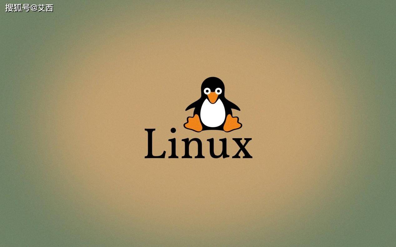 Linux服务器怎么分区