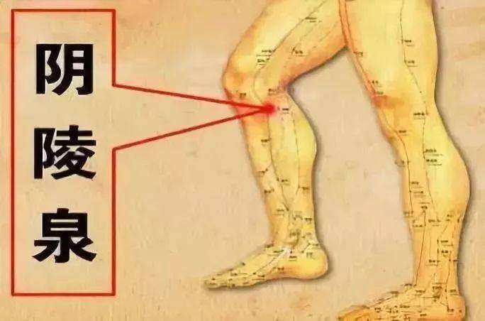 原创            常按三个穴位，行气祛湿化瘀，清除一切“淤堵”，消散全身结节(祛湿气最好的方法目前最有效的)