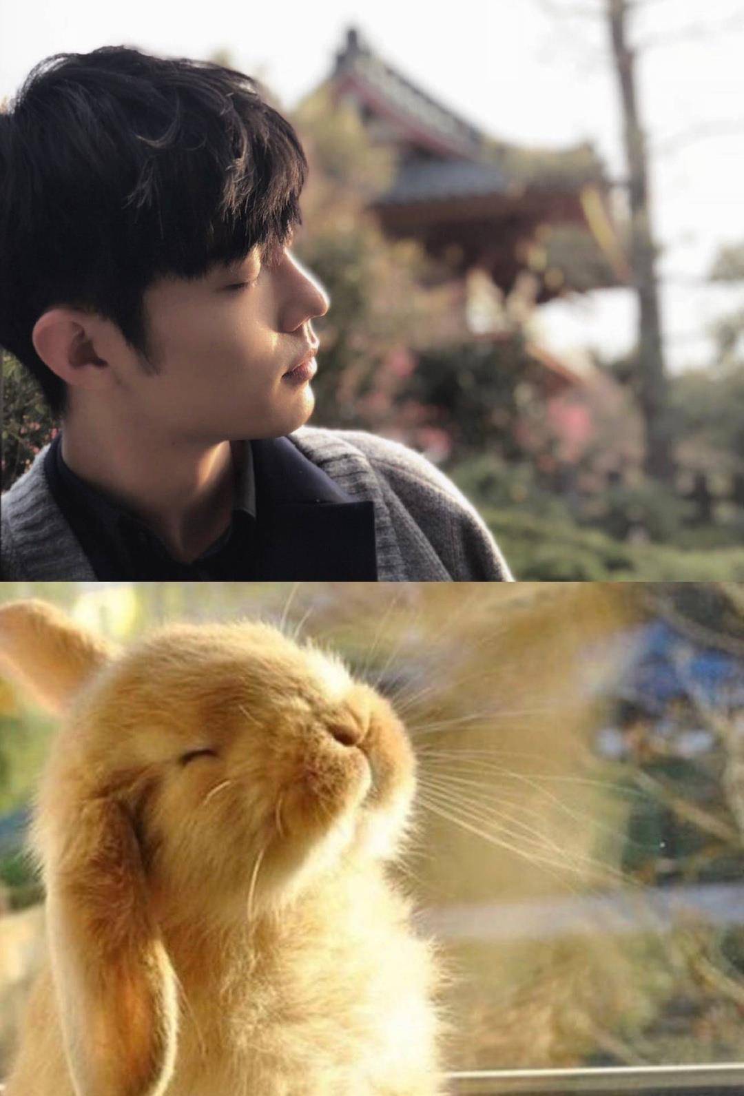 看完这组图,我明白为什么肖战的宠物是"肖兔兔"了,因为它太可爱了!