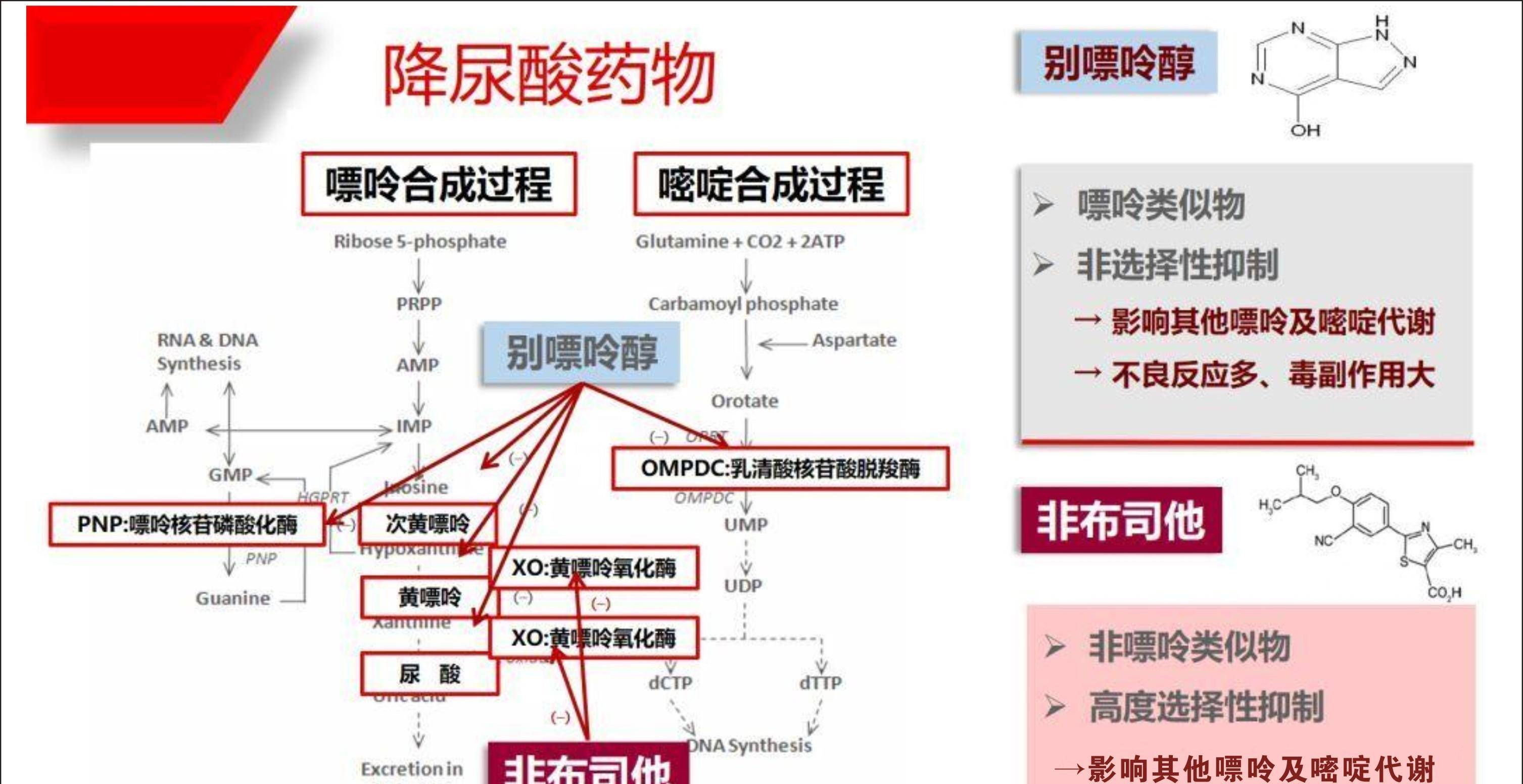 痛风定胶囊降尿酸原理图片