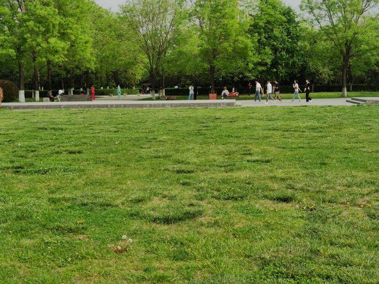 西安樂遊原上的青龍寺_遺址_日本_唐長安城