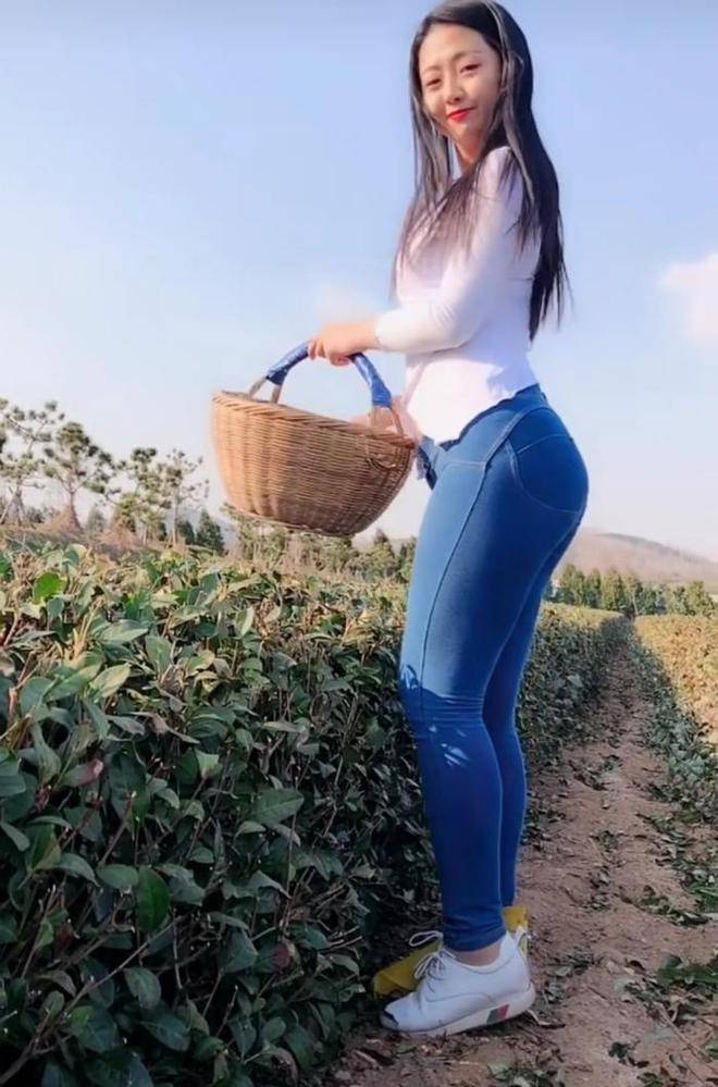 摘茶叶的微胖少妇,紧身牛仔裤包裹丰腴,身材性感又时尚_美女_白色