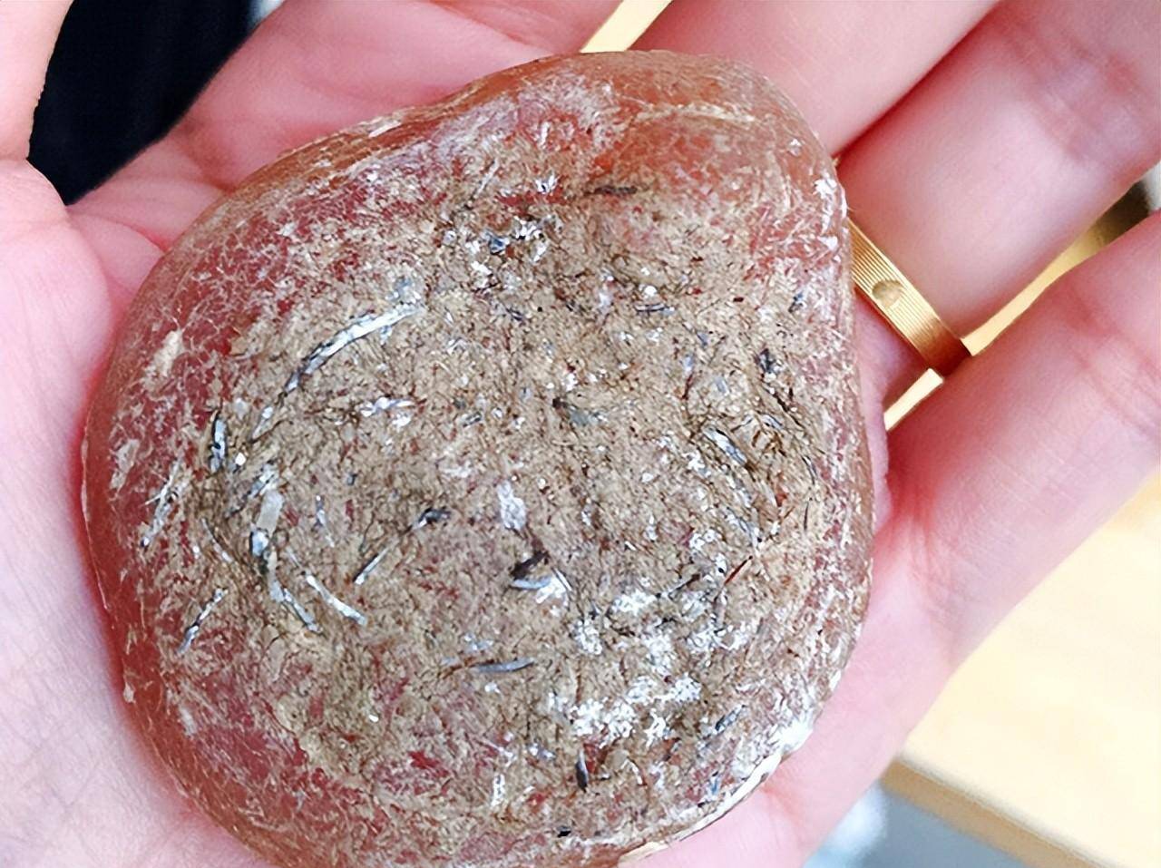 2万块买条鱼,肉送人只要石头!_青鱼_价值_是一种